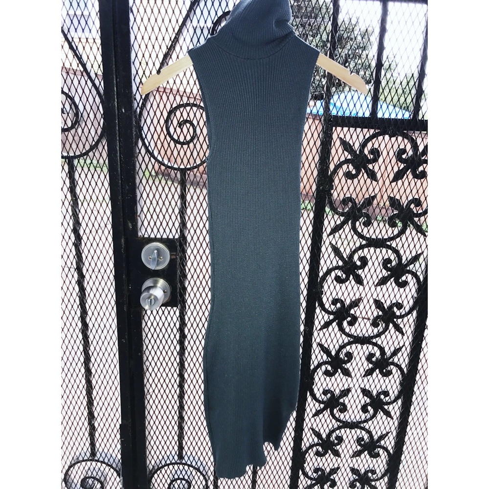 Americana knit turtle neck dress
